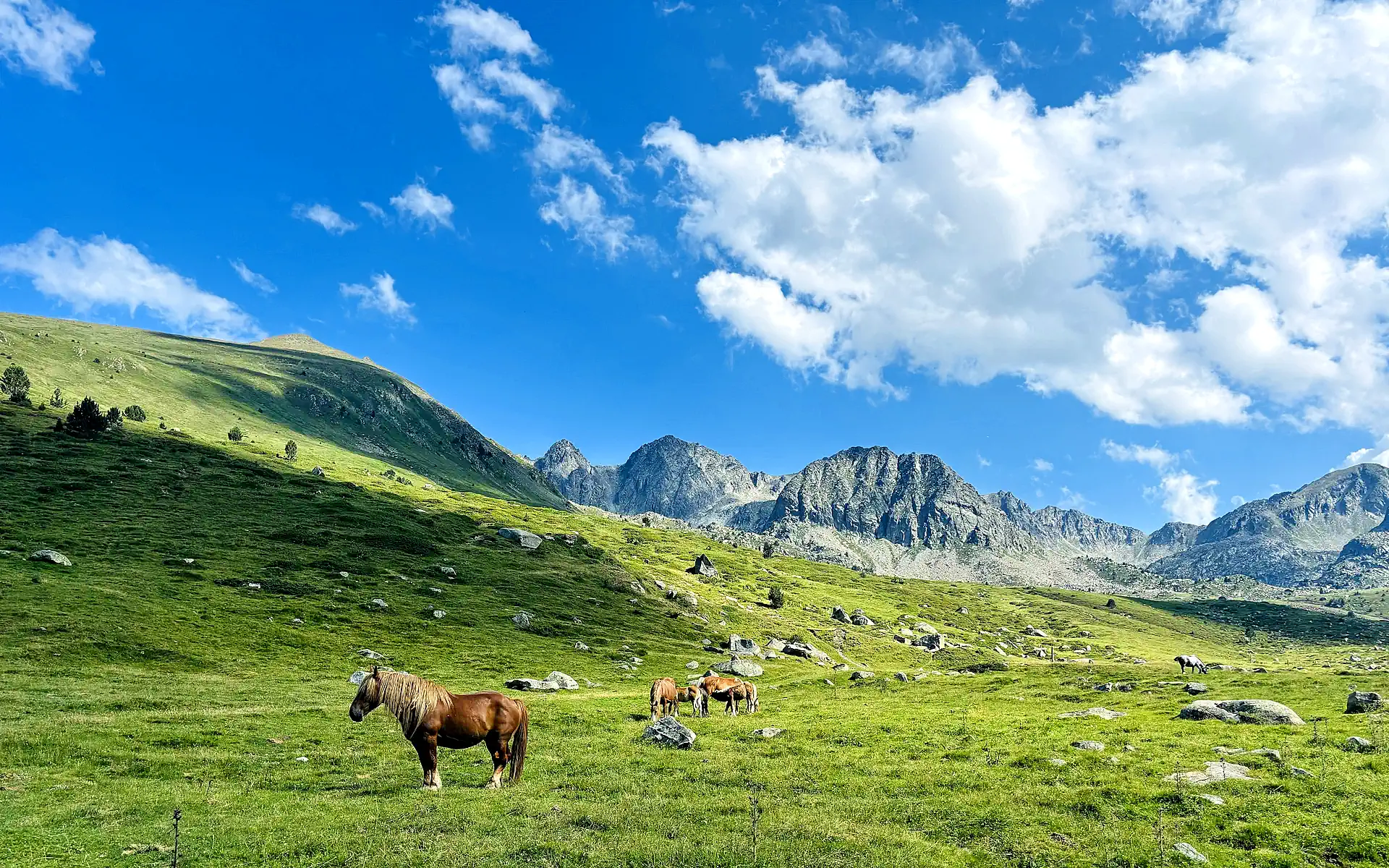 Mountain landscape of Andorra in the Pyrenees visited on a private day trip from Barcelona